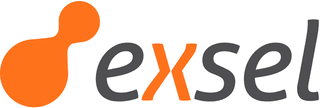 Exsel